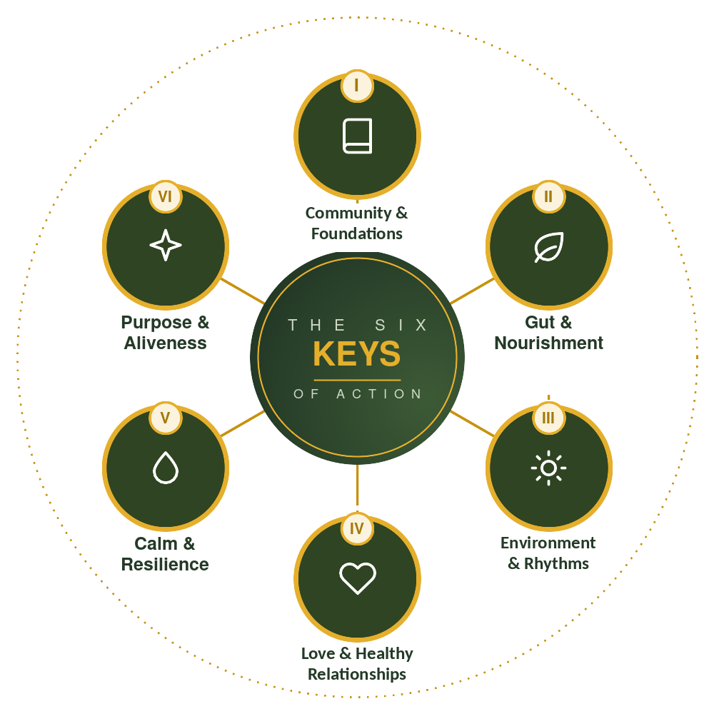 The 6 Keys of Action Toward Remission